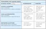 Completing a vulnerability and capacity matrix